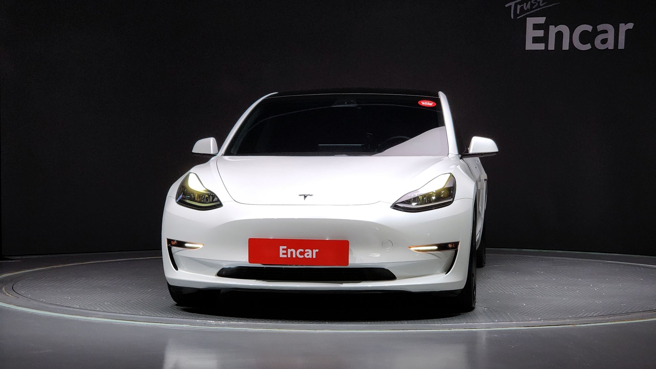 TESLA MODEL 3 2021