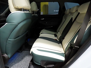 HYUNDAI SANTAFE TM 2019