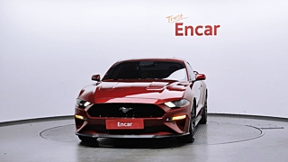FORD MUSTANG 2019
