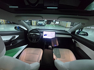 TESLA MODEL 3 2020