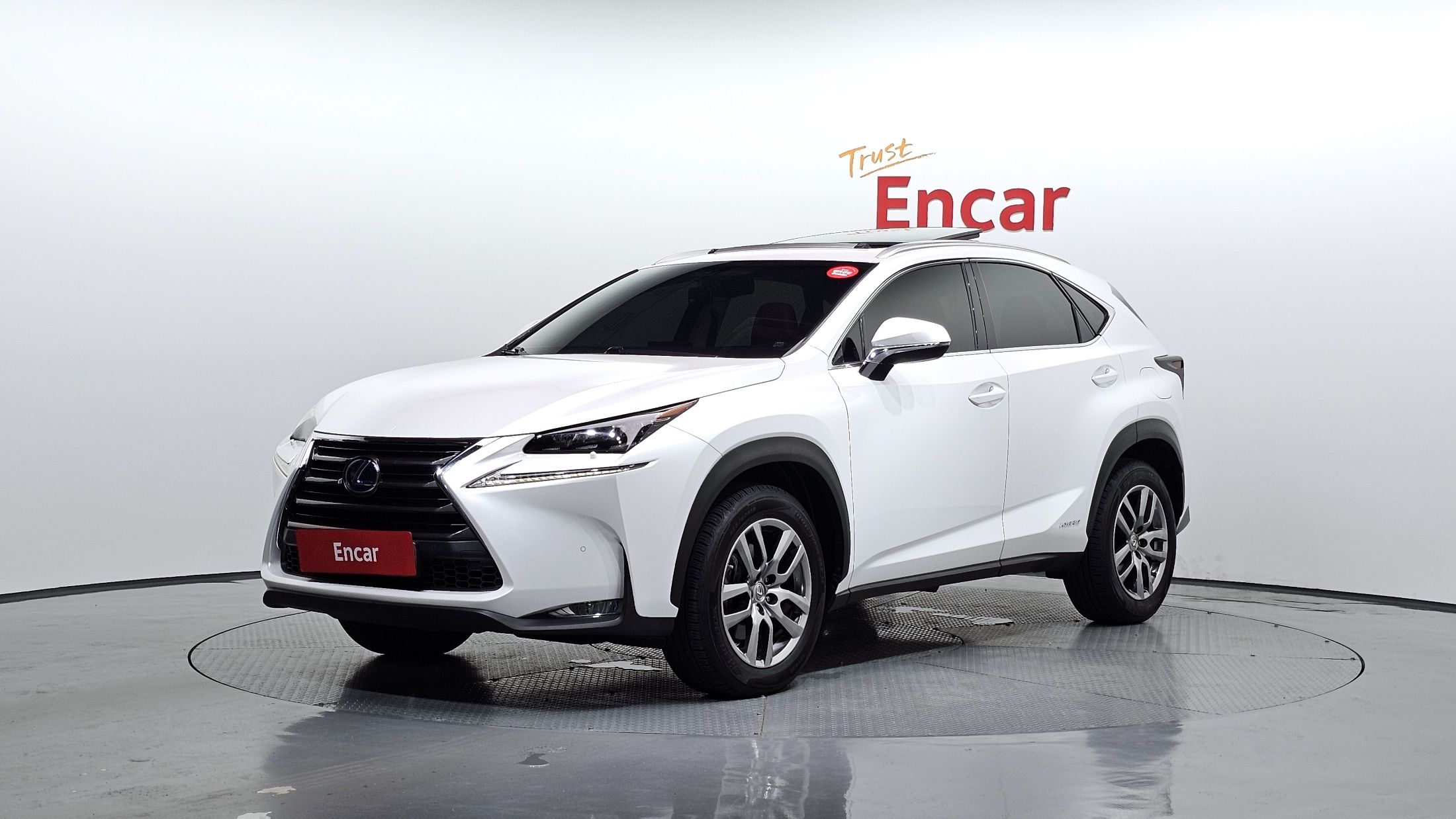 Аукционный лист LEXUS NX300H 2016