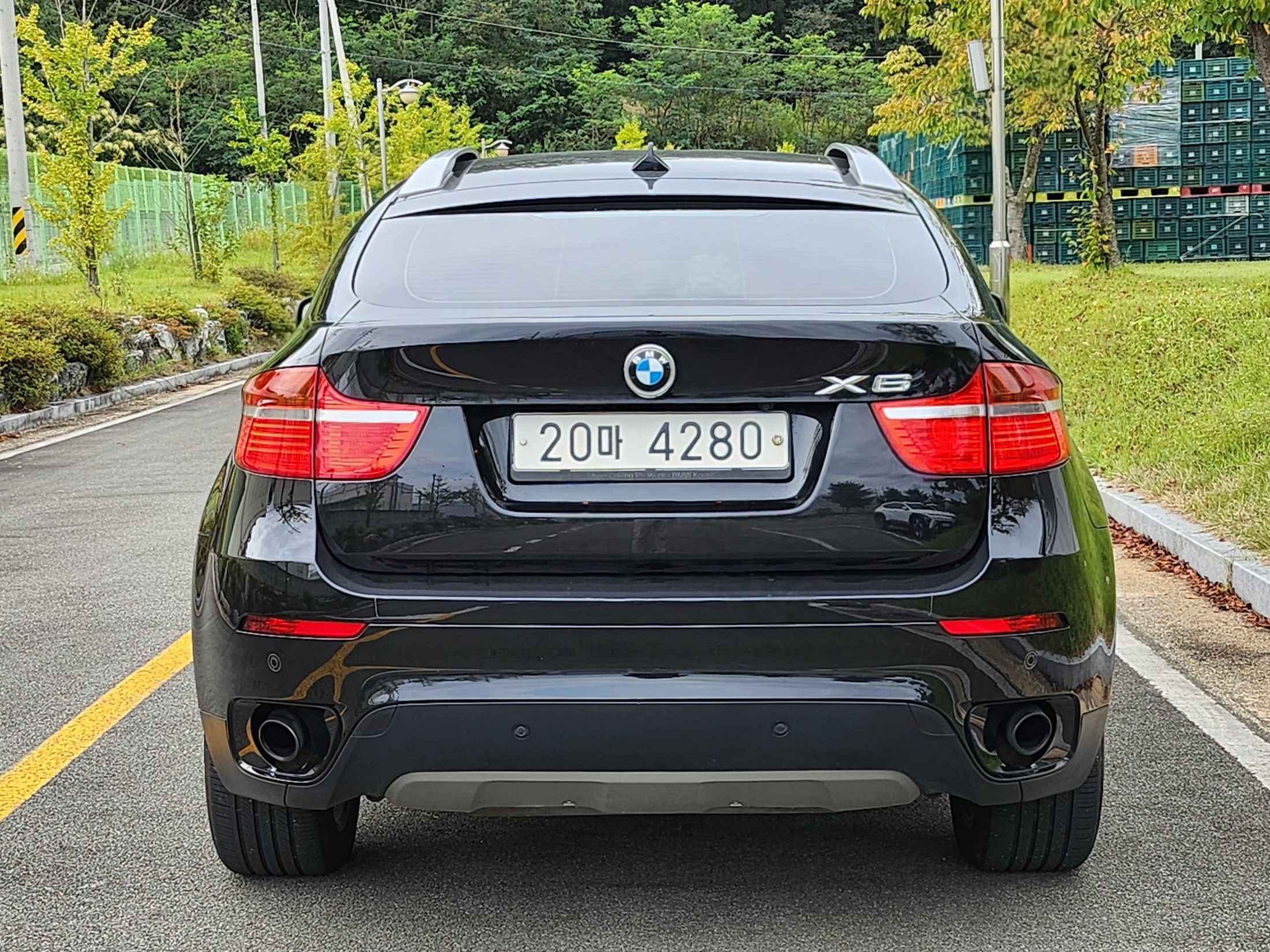 BMW X6 E71 2010