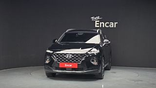 HYUNDAI SANTAFE TM 2019