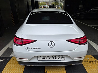 MERCEDES BENZ CLS-CLASS C257 2019