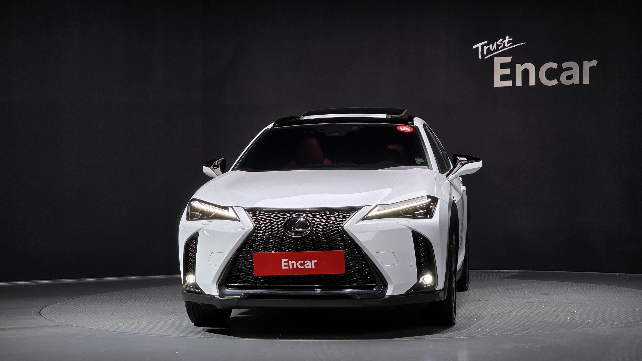 LEXUS UX250H 2024