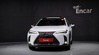 LEXUS UX250H 2024