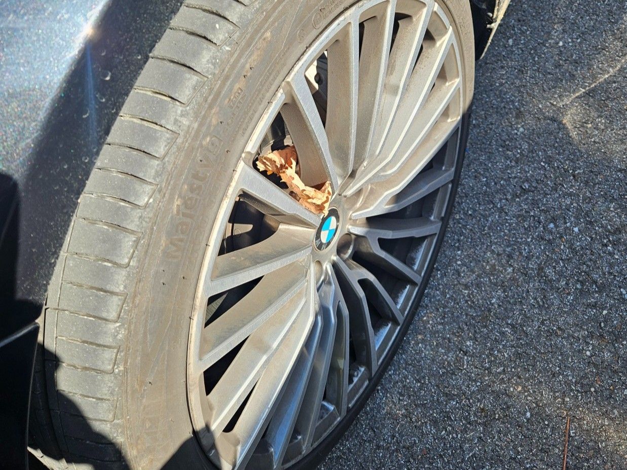 BMW 7-SERIES G11 2022