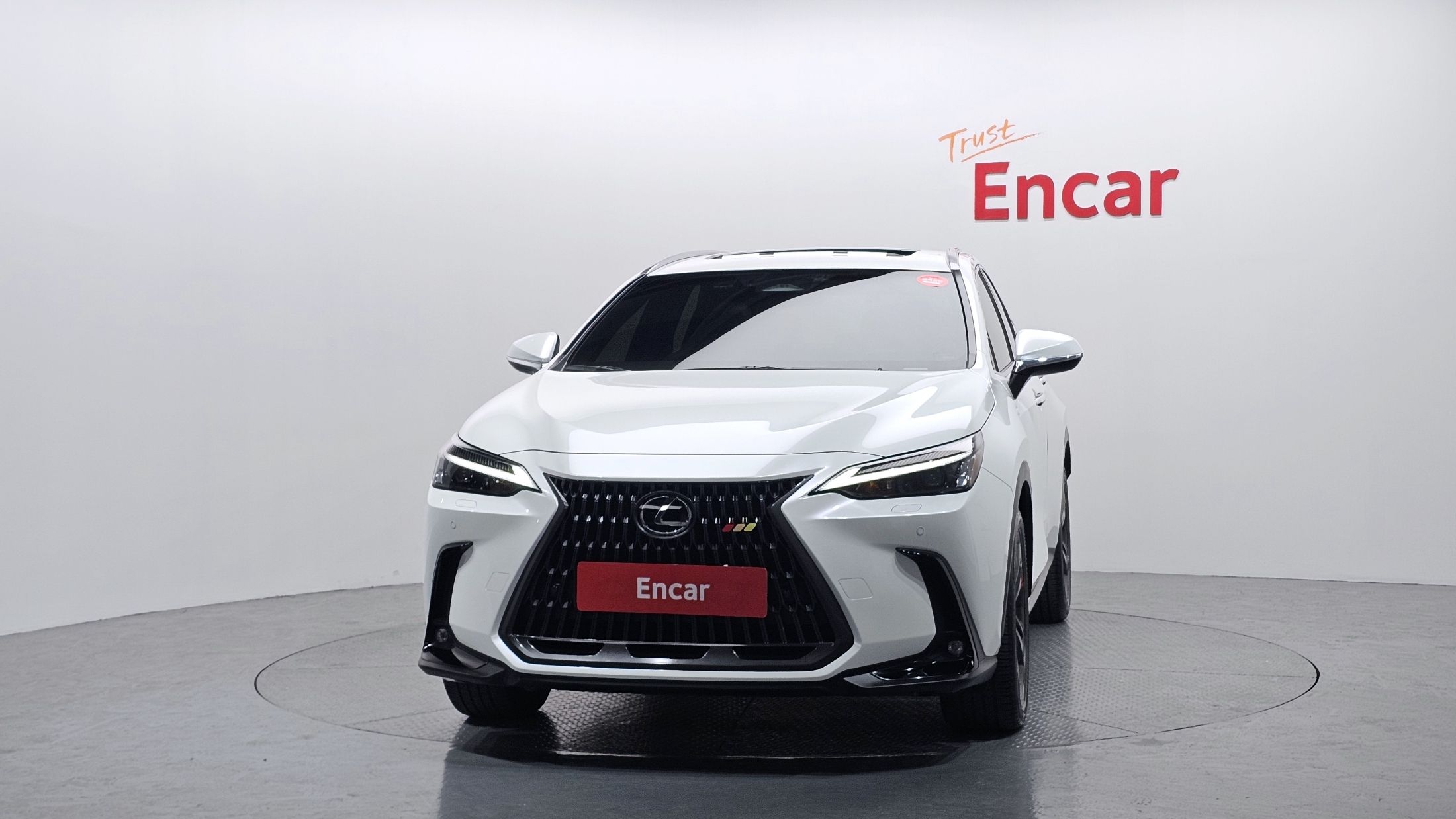 LEXUS NX350H 2023