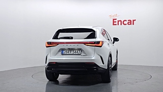LEXUS NX350H 2023