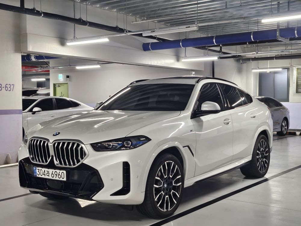 Аукционный лист BMW X6 G06 2024
