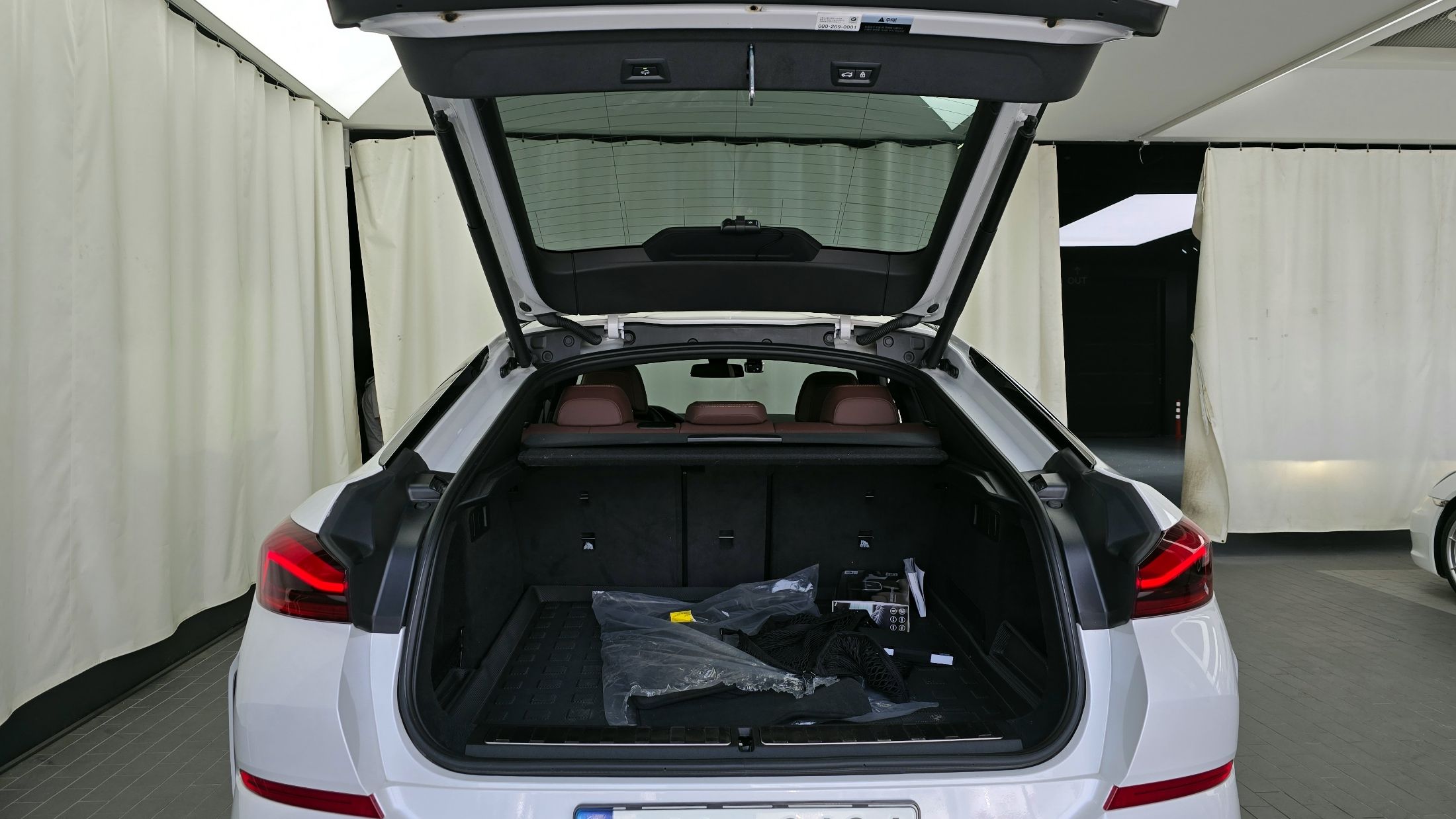 BMW X6 G06 2021