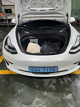 TESLA MODEL 3 2019