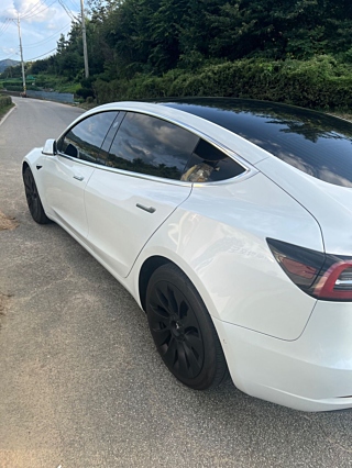 TESLA MODEL 3 2019