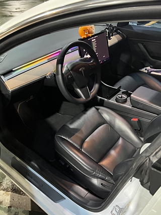 TESLA MODEL 3 2019