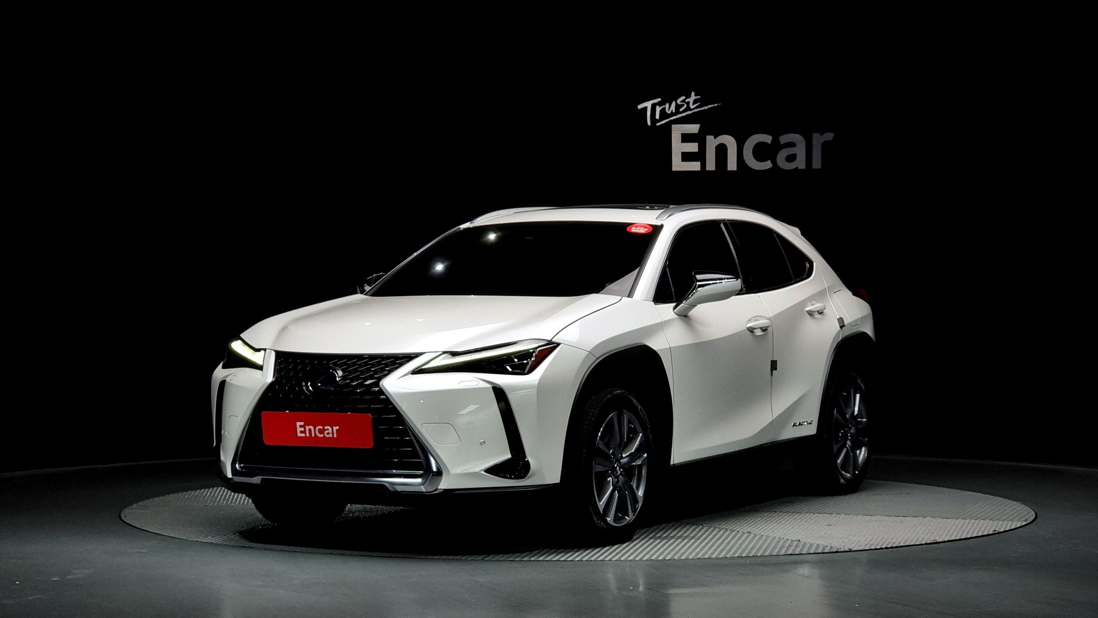 LEXUS UX300E