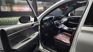 HYUNDAI PALISADE 2020