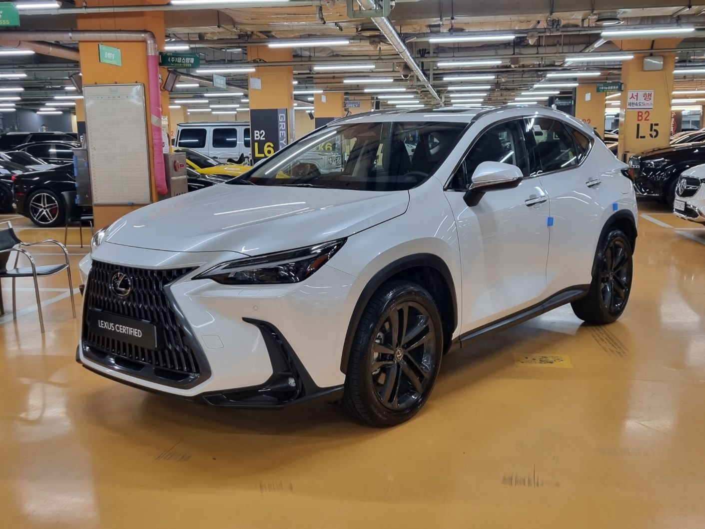 LEXUS NX350H 2024