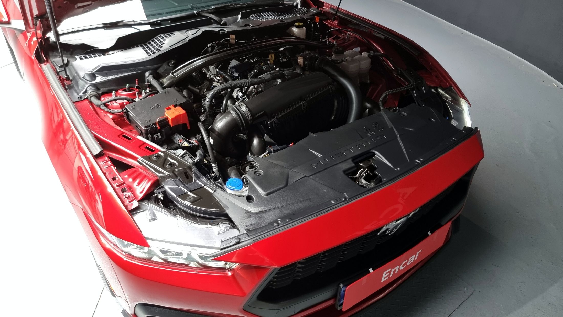FORD MUSTANG