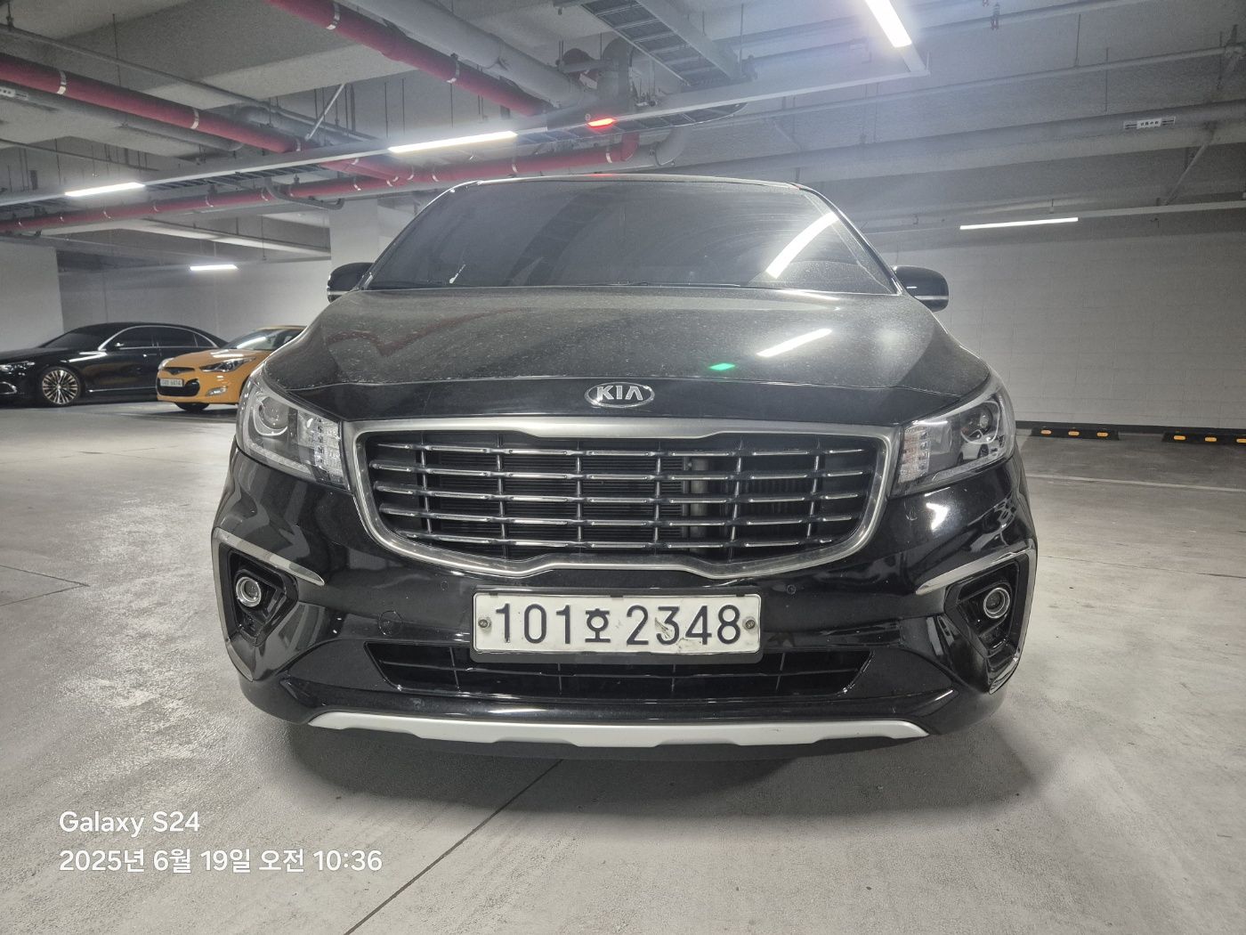 KIA CARNIVAL 2019