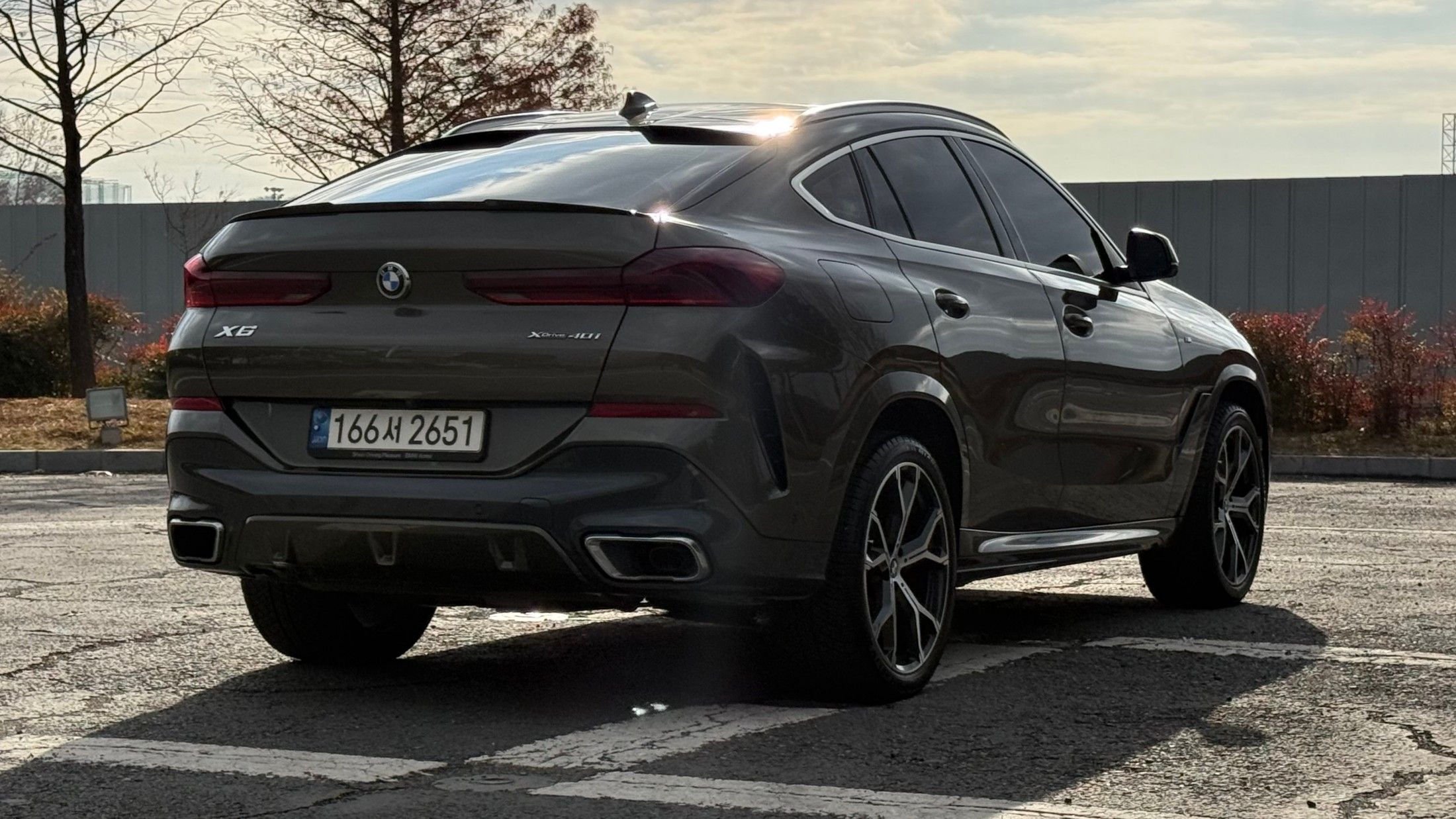 BMW X6 G06 2021