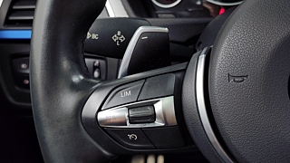 BMW 3-SERIES F30 2016