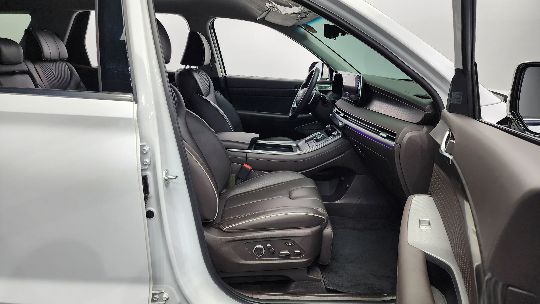 HYUNDAI PALISADE 2024