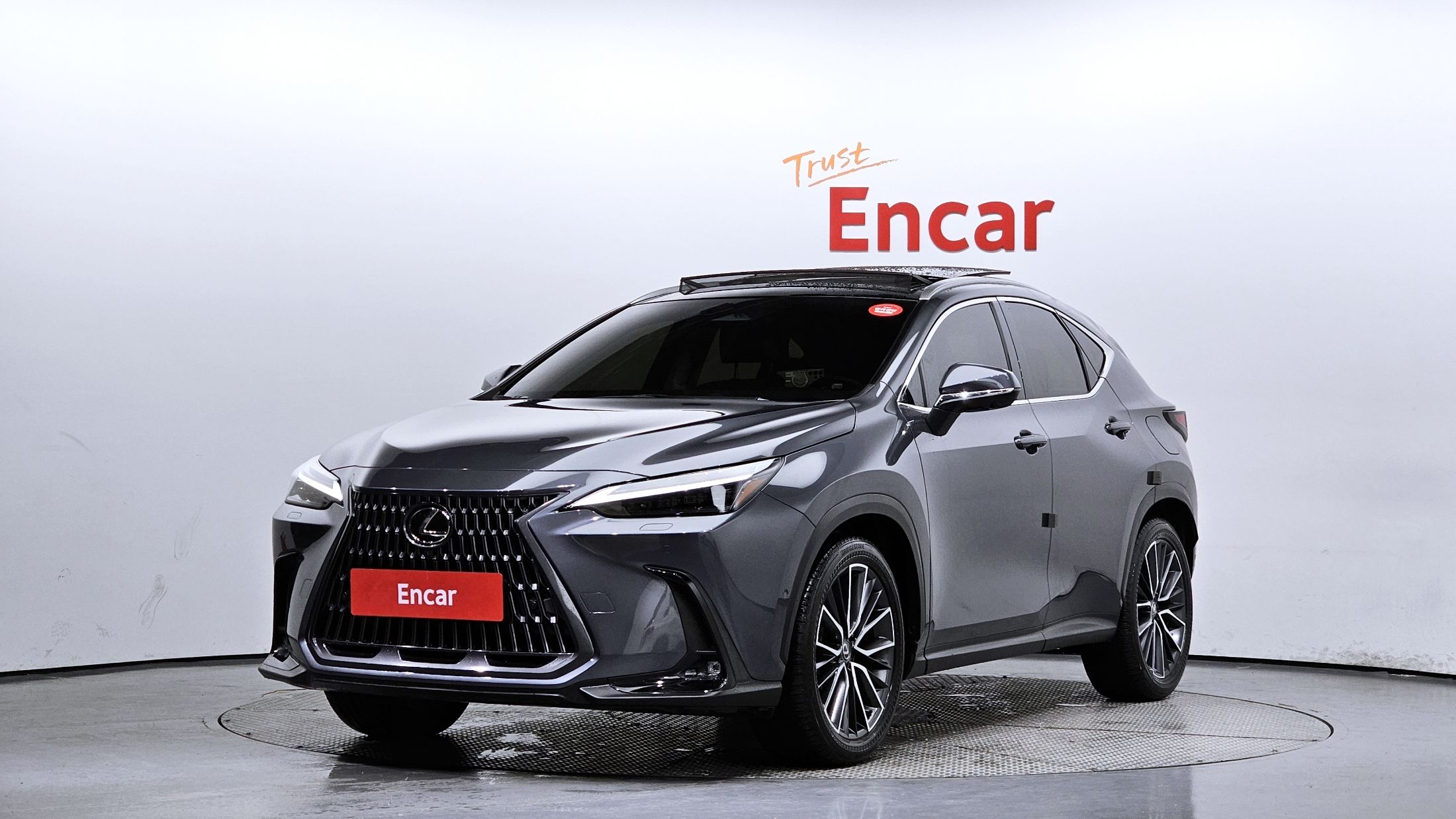 LEXUS NX350H 2023