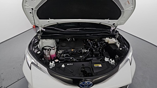 TOYOTA SIENNA 2022