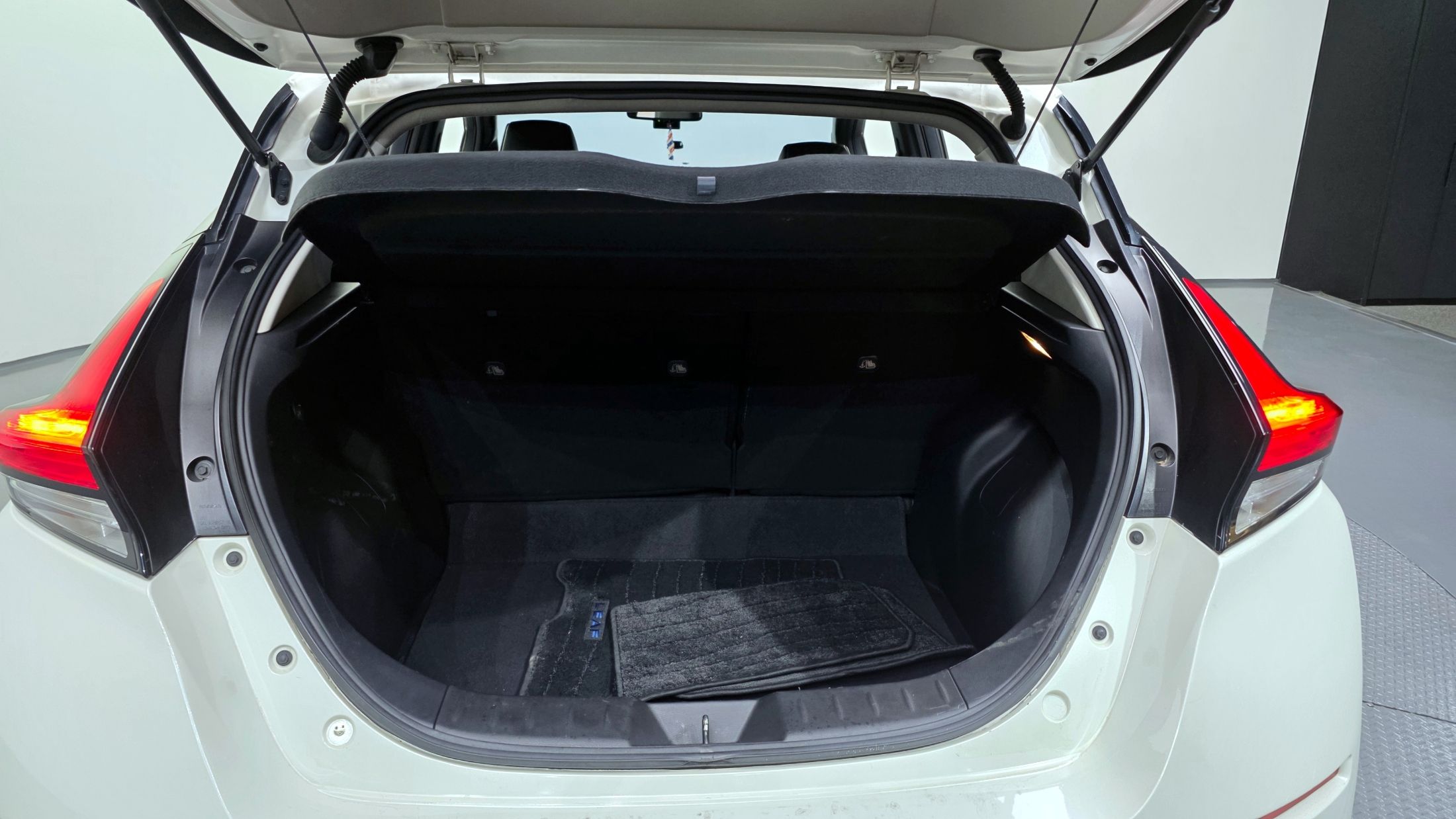 NISSAN LEAF ZE1 2019