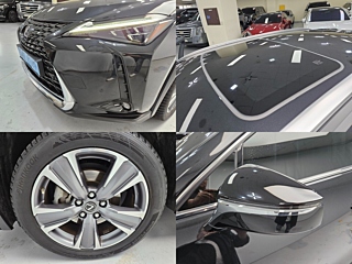 LEXUS UX300E 2022