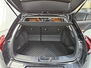 LEXUS UX300E 2022