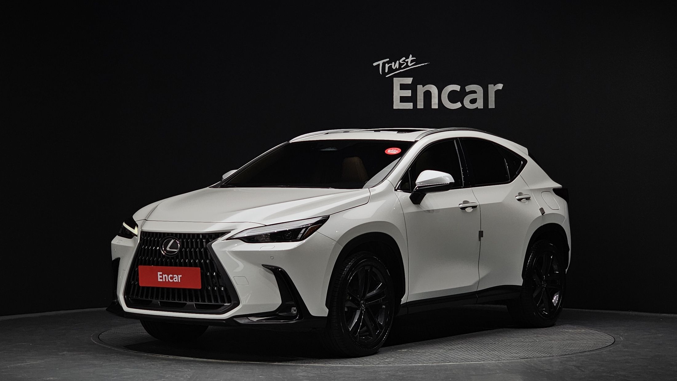 LEXUS NX350H 2023
