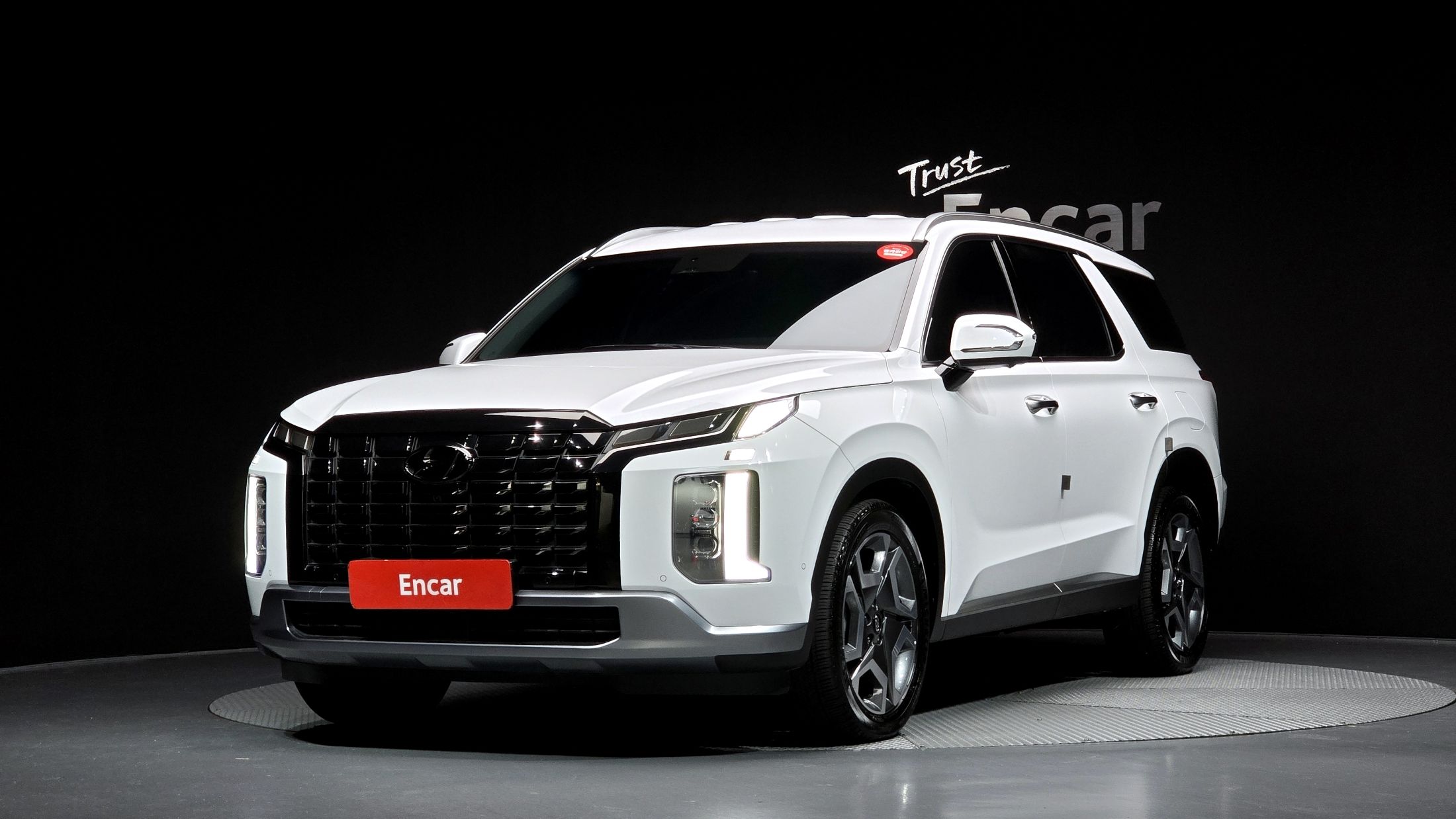 HYUNDAI PALISADE 2024
