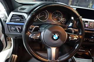 BMW 3-SERIES F30 2016