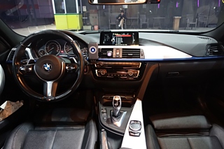 BMW 3-SERIES F30 2016