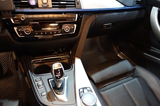 BMW 3-SERIES F30 2016