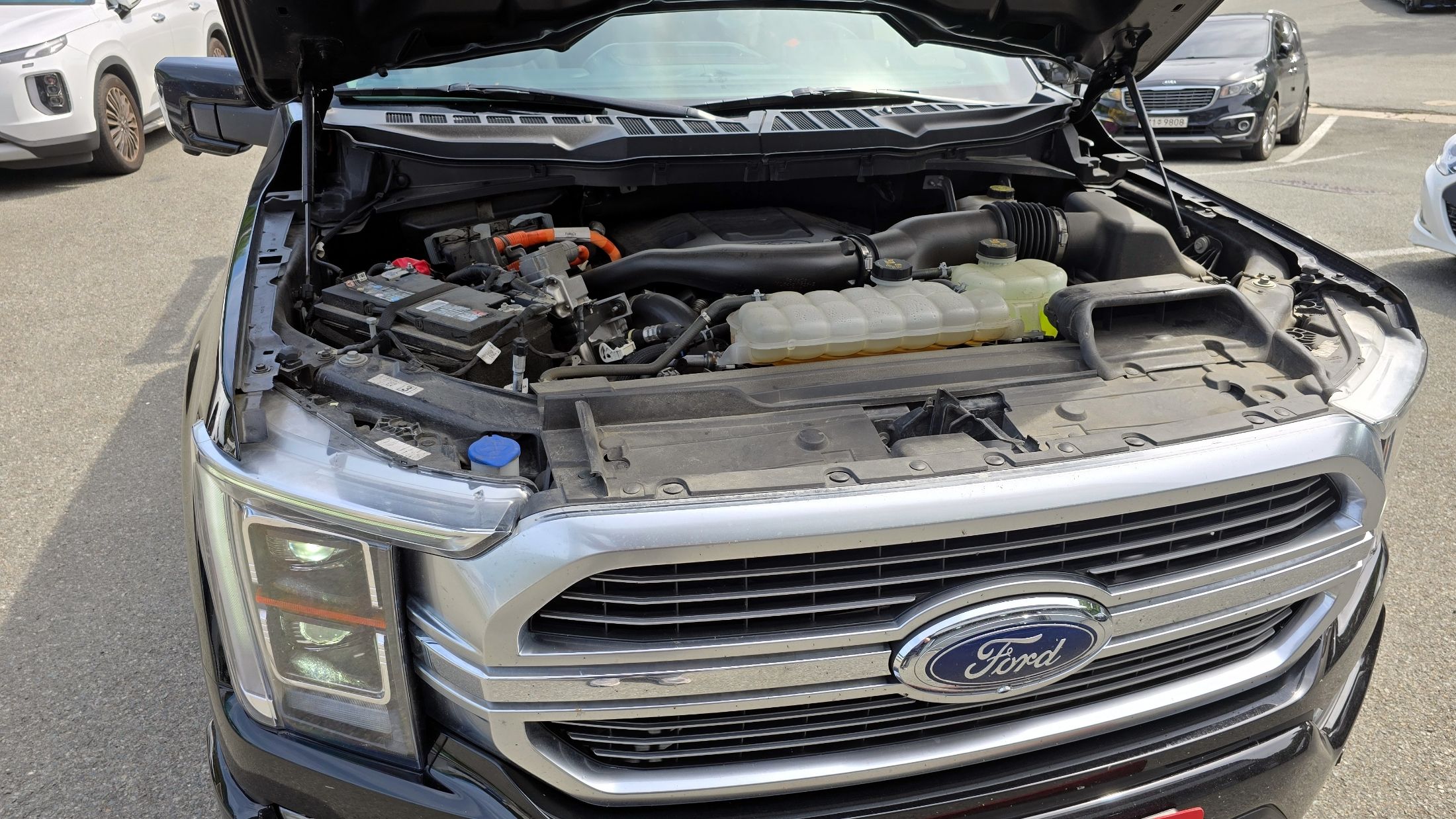 FORD F150