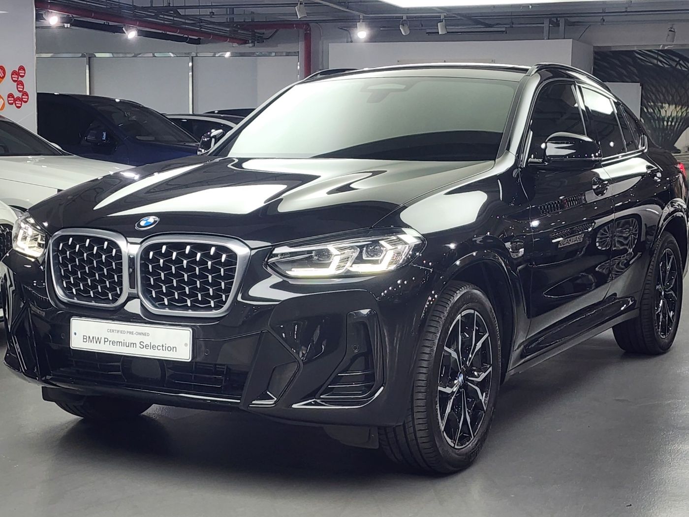 BMW X4 G02 2024