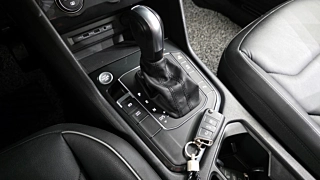 VOLKSWAGEN TIGUAN  2 GENERATION 2.0 TDI Premium 2020