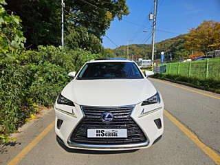 LEXUS NX300H 2019