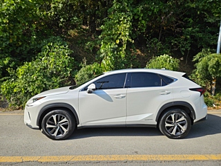 LEXUS NX300H 2019