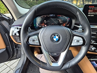 BMW 5-SERIES G30 2021