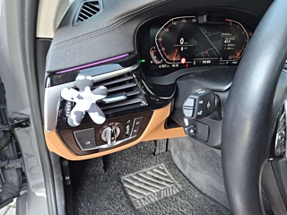 BMW 5-SERIES G30 2021