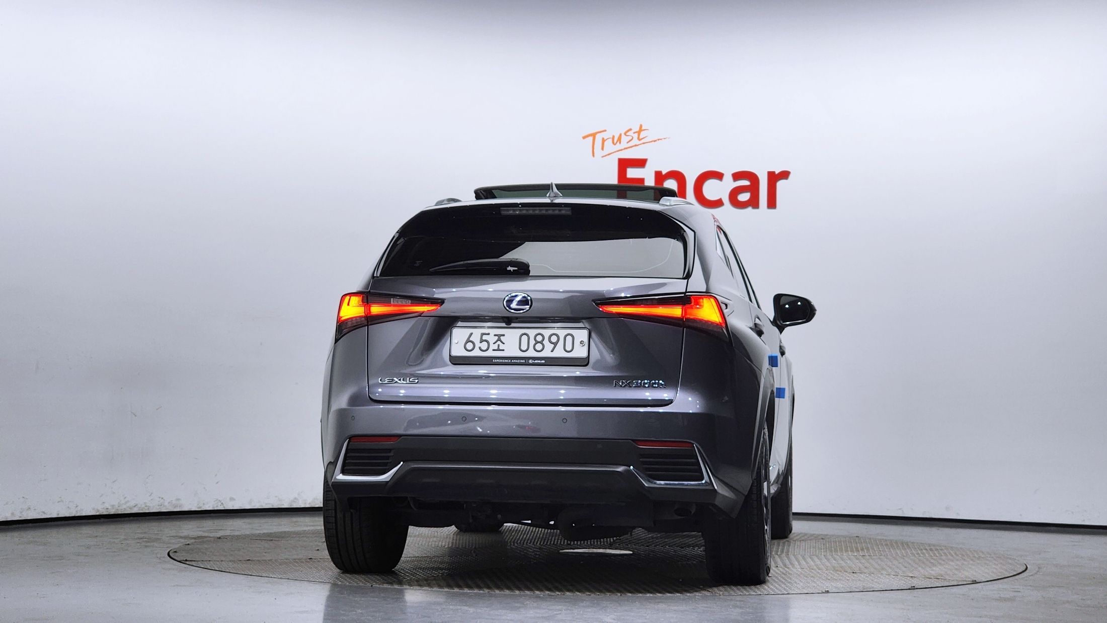 LEXUS NX300H 2019