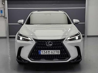 LEXUS NX350H 2024