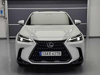 LEXUS NX350H 2024