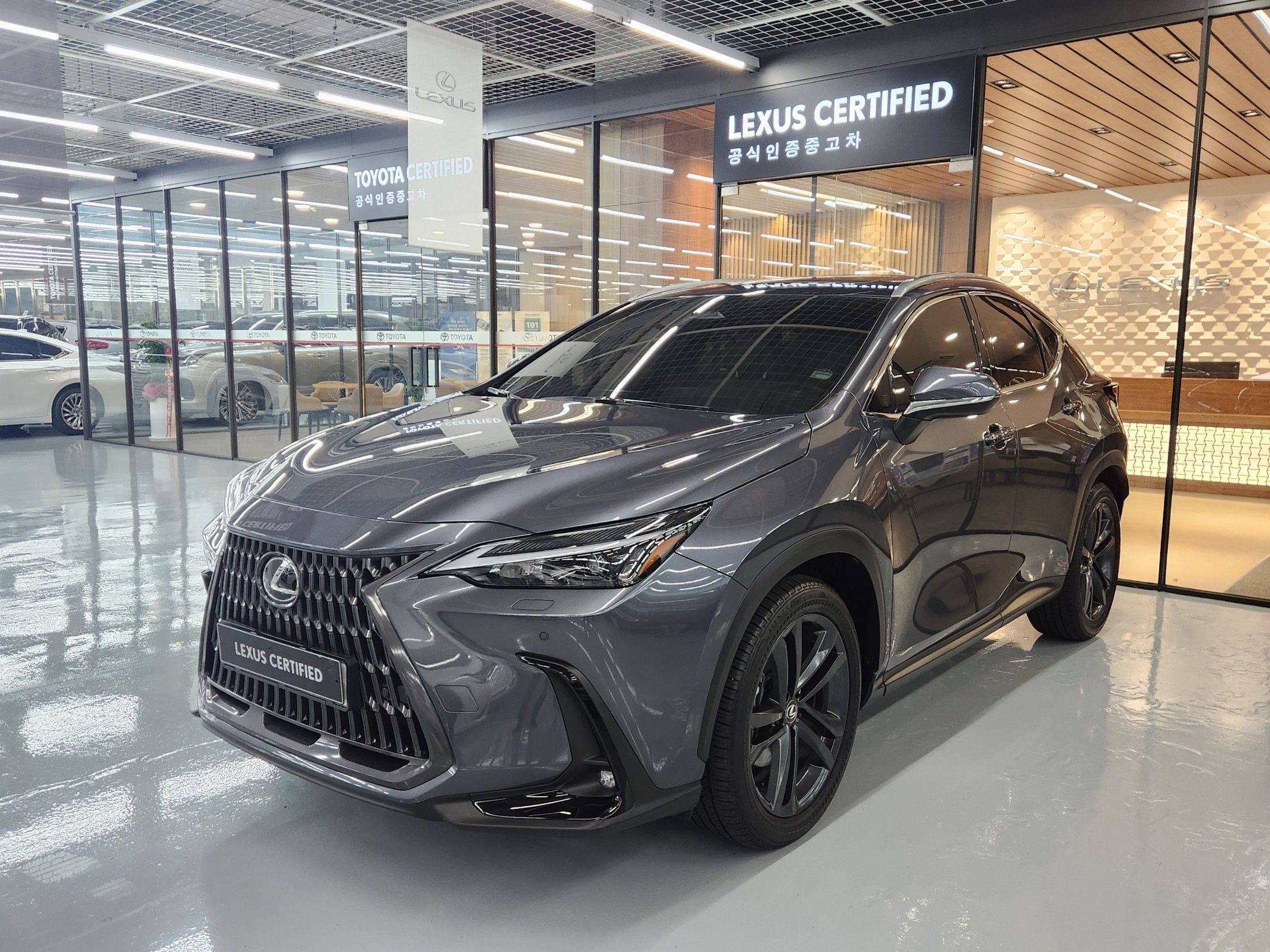 LEXUS NX350H 2024