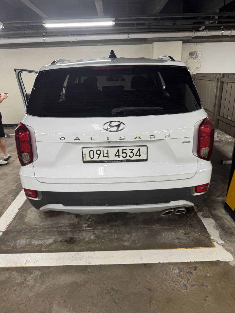HYUNDAI PALISADE 2019