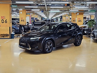 Заказать LEXUS UX300H