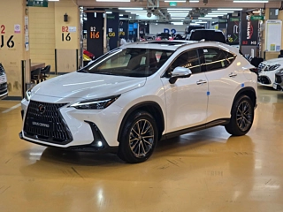 Заказать LEXUS NX450H+